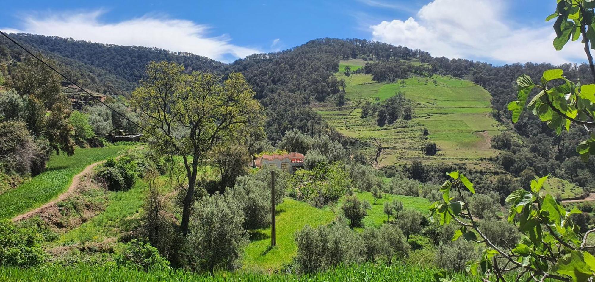دار الضيافة تازكة Maison D'Hotes Tazekka Taza Dış mekan fotoğraf